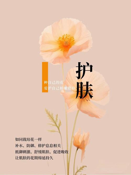 十大美容养颜补品