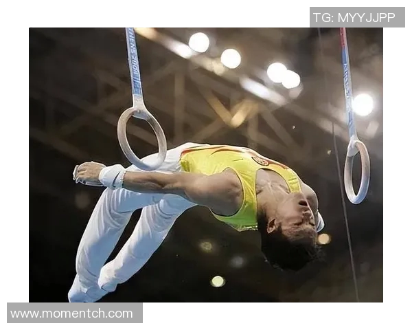 从荣耀到挫折体育明星的奋斗与成长自传揭秘人生的每一个精彩瞬间