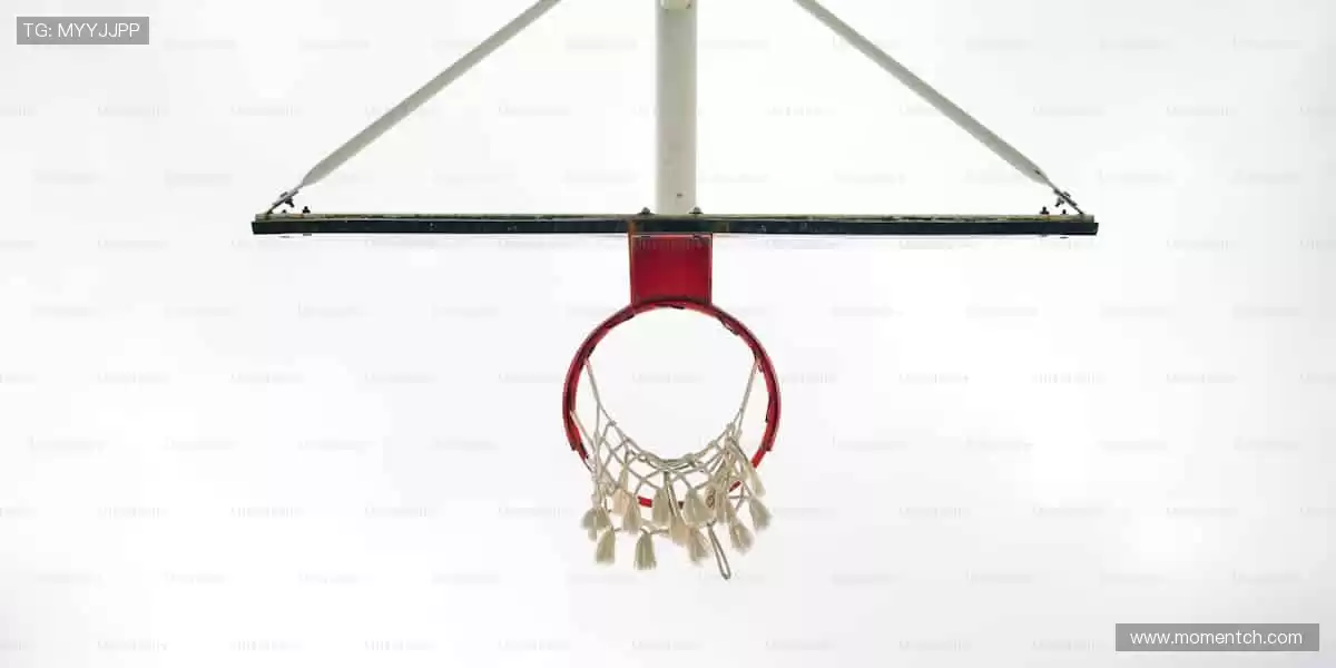 💻 多屏同看，精彩永不卡顿！